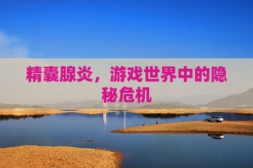 精囊腺炎，游戏世界中的隐秘危机