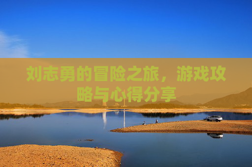 刘志勇的冒险之旅，游戏攻略与心得分享