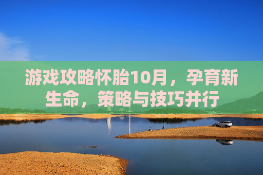 游戏攻略怀胎10月，孕育新生命，策略与技巧并行