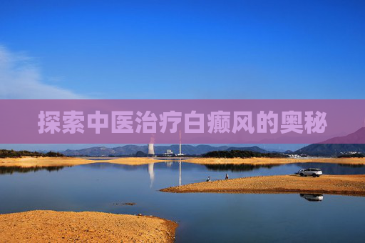 探索中医治疗白癫风的奥秘