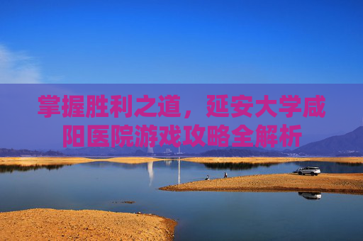 掌握胜利之道，延安大学咸阳医院游戏攻略全解析