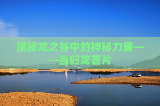 揭秘龙之谷中的神秘力量——当归龙荟片