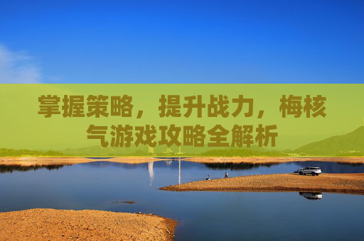 掌握策略，提升战力，梅核气游戏攻略全解析