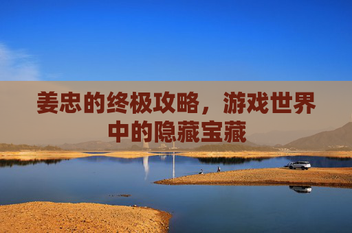 姜忠的终极攻略，游戏世界中的隐藏宝藏