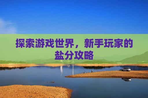 探索游戏世界，新手玩家的盐分攻略