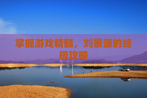 掌握游戏精髓，刘景源的终极攻略