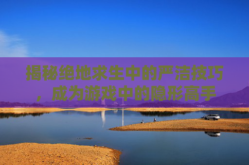 揭秘绝地求生中的严洁技巧，成为游戏中的隐形高手