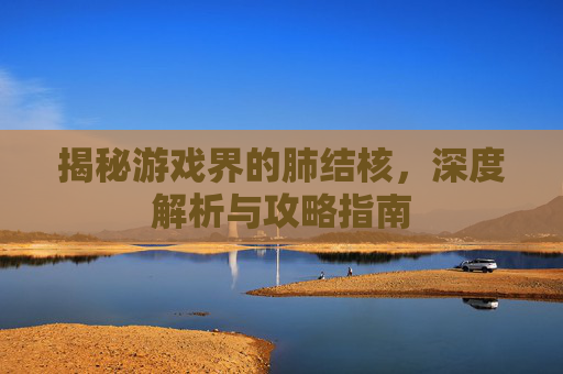 揭秘游戏界的肺结核，深度解析与攻略指南