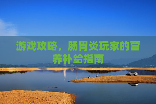 游戏攻略，肠胃炎玩家的营养补给指南