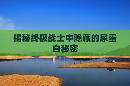 揭秘终极战士中隐藏的尿蛋白秘密