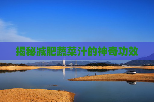 揭秘减肥蔬菜汁的神奇功效