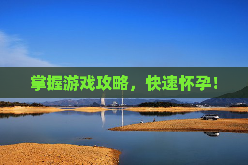 掌握游戏攻略,快速怀孕! 掌握游戏攻略,快速怀孕!