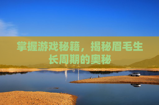 掌握游戏秘籍,揭秘眉毛生长周期的奥秘 掌握游戏秘籍,揭秘眉毛生长周期的奥秘