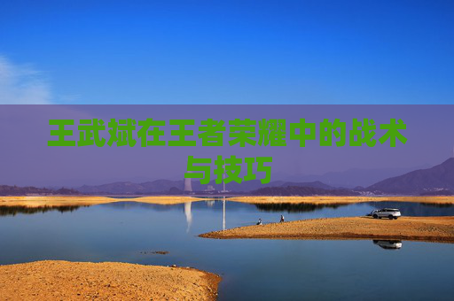 王武斌在王者荣耀中的战术与技巧