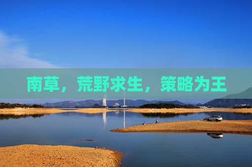 南草，荒野求生，策略为王