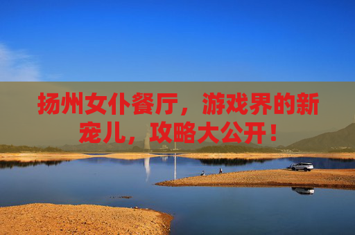 扬州女仆餐厅，游戏界的新宠儿，攻略大公开！