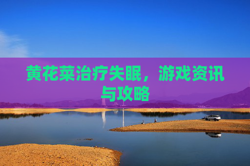 黄花菜治疗失眠,游戏资讯与攻略 黄花菜治疗失眠,游戏资讯与攻略