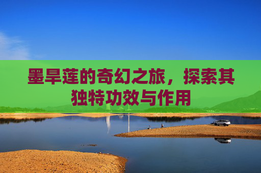 墨旱莲的奇幻之旅,探索其独特功效与作用 墨旱莲的奇幻之旅,探索其独特功效与作用
