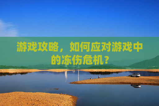 游戏攻略，如何应对游戏中的冻伤危机？