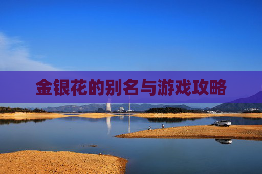 金银花的别名与游戏攻略 金银花的别名与游戏攻略