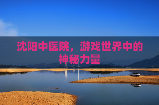 沈阳中医院,游戏世界中的神秘力量 沈阳中医院,游戏世界中的神秘力量