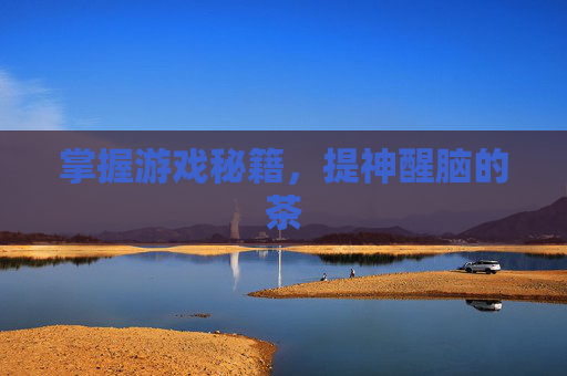 掌握游戏秘籍,提神醒脑的茶 掌握游戏秘籍,提神醒脑的茶