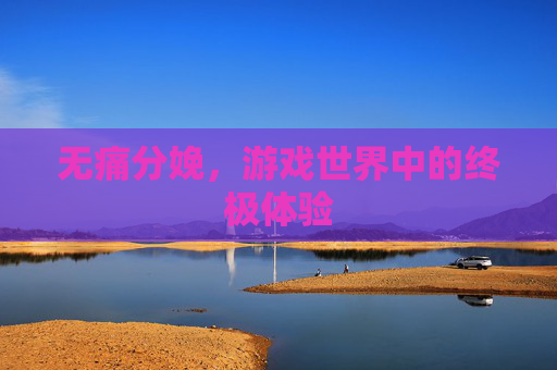 无痛分娩,游戏世界中的终极体验 无痛分娩,游戏世界中的终极体验