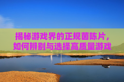 揭秘游戏界的正规茵陈片,如何辨别与选择高质量游戏攻略 揭秘游戏界的正规茵陈片,如何辨别与选择高质量游戏攻略