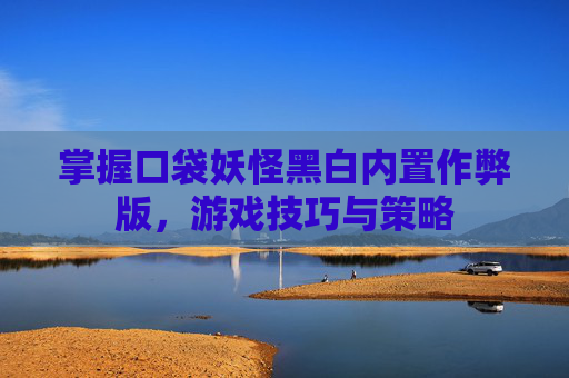 掌握口袋妖怪黑白内置作弊版,游戏技巧与策略 掌握口袋妖怪黑白内置作弊版,游戏技巧与策略