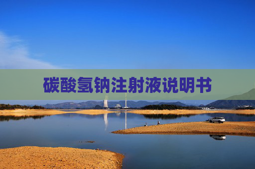 碳酸氢钠注射液说明书 碳酸氢钠注射液说明书