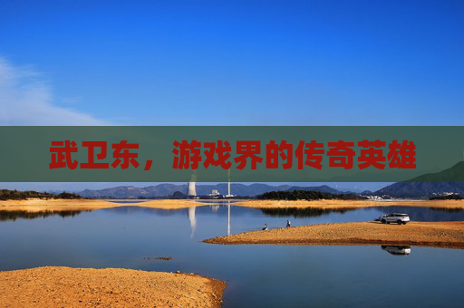 武卫东,游戏界的传奇英雄 武卫东,游戏界的传奇英雄