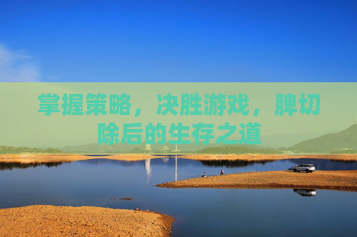 掌握策略,决胜游戏,脾切除后的生存之道 掌握策略,决胜游戏,脾切除后的生存之道