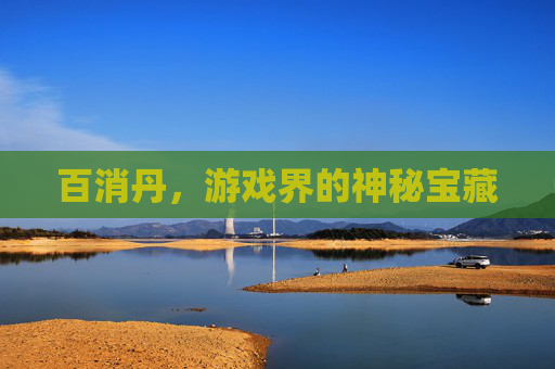 百消丹,游戏界的神秘宝藏 百消丹,游戏界的神秘宝藏