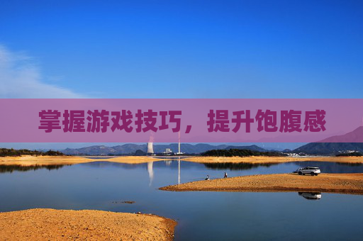 掌握游戏技巧，提升饱腹感