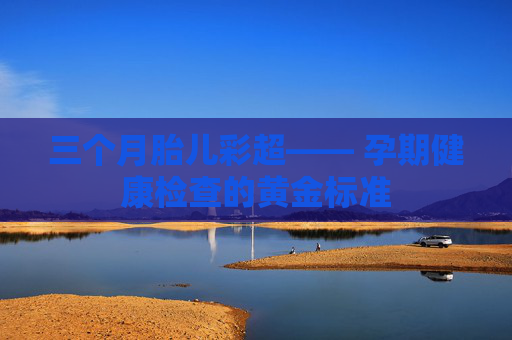 三个月胎儿彩超—— 孕期健康检查的黄金标准 三个月胎儿彩超—— 孕期健康检查的黄金标准