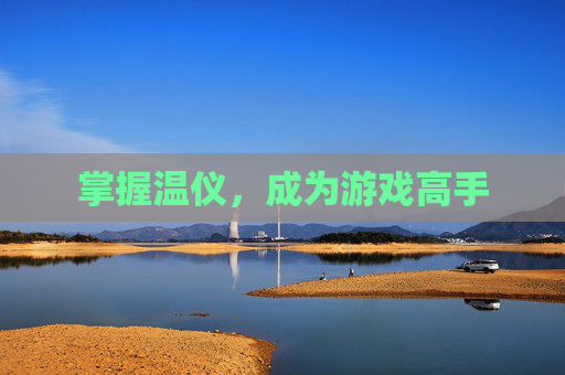 掌握温仪,成为游戏高手 掌握温仪,成为游戏高手