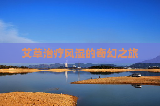 艾草治疗风湿的奇幻之旅 艾草治疗风湿的奇幻之旅