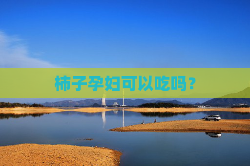柿子孕妇可以吃吗? 柿子孕妇可以吃吗?