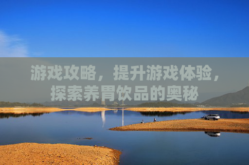 游戏攻略，提升游戏体验，探索养胃饮品的奥秘
